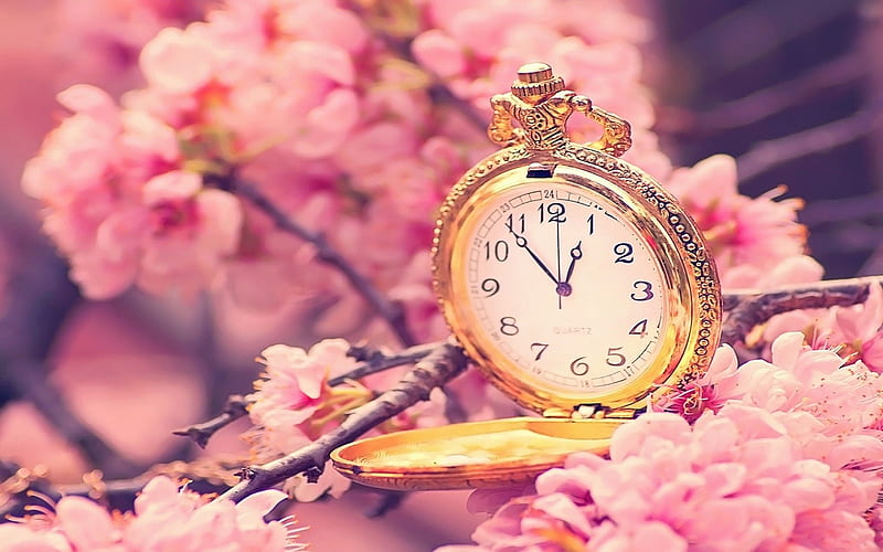 Clock, springtime, time, pocket watch, spring, blossom, gold, twig, petals, pink, HD wallpaper