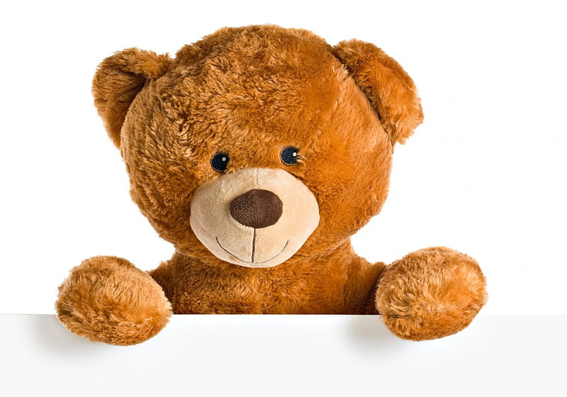 Hello!, brown, children, toy, valentine, birtay, card, cute, day, white, teddy bear, HD wallpaper