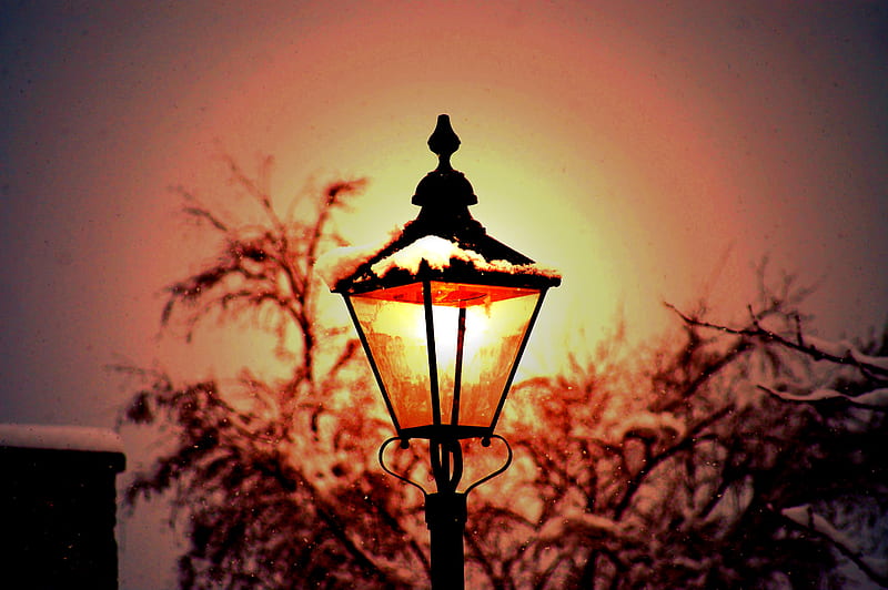 Street light, lamp, street lamp, streetlight, winter, chrismas, grophy, evening, street, light, HD wallpaper