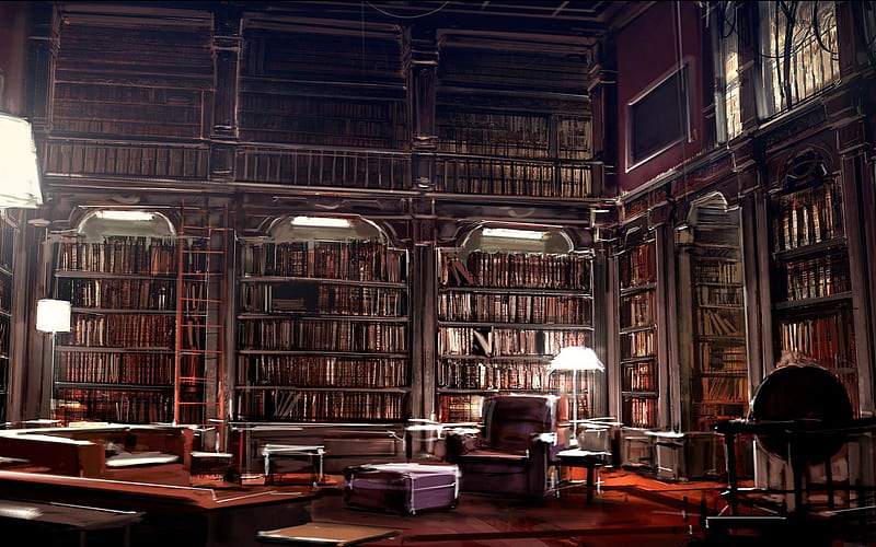 Reading, books, library, reading a book, HD wallpaper