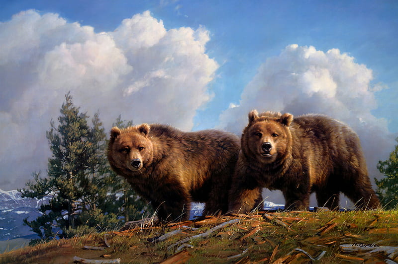 Bears, Bear, Artistic, Wildlife, predator (Animal), HD wallpaper