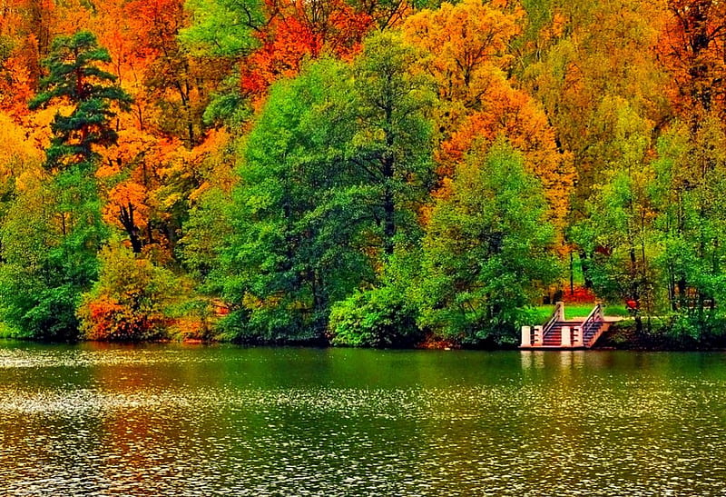 Autumn serenity, forest, fall, shore, quiet, autumn, house, calmness ...
