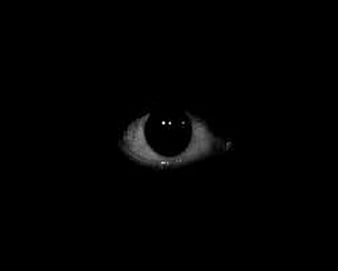 Đôi mắt mèo đen như một cánh cửa mở ra chứa đầy bí ẩn và sự huyền bí. Hãy cùng lắng nghe câu chuyện từ đôi mắt đen ấy thông qua hình ảnh đầy ấn tượng.