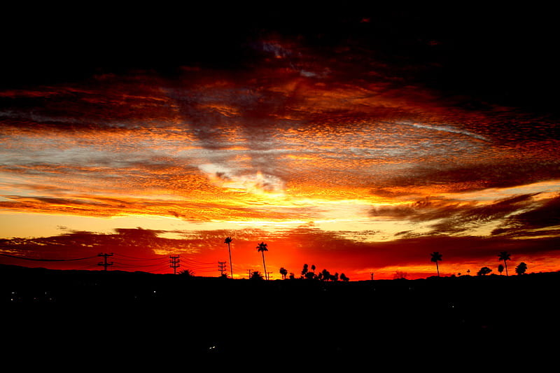 Floridian Fireball, red, sun, cloud, rays, orange, balm, palm, sky, HD wallpaper