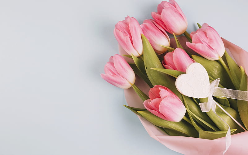 bouquet of pink tulips, pink flowers, spring, beautiful bouquet, HD wallpaper