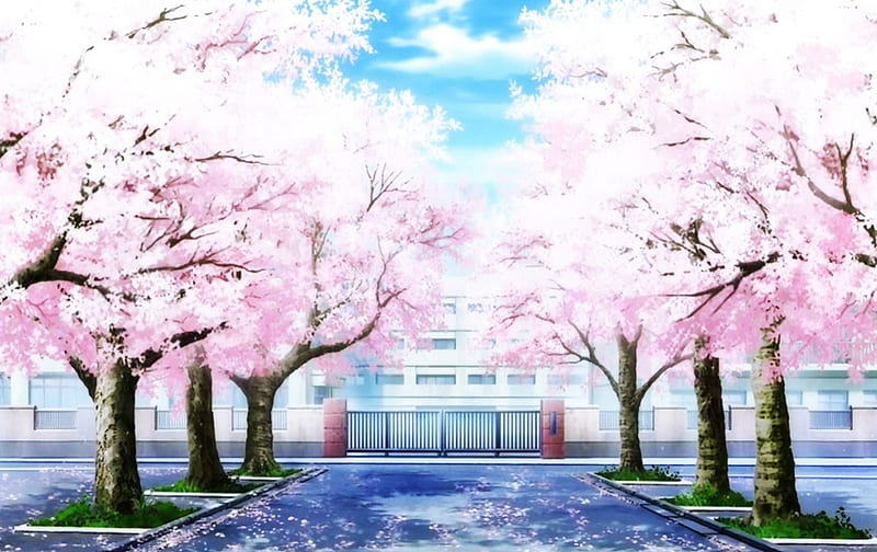 Anime Cherry Blossom, pretty, sakura blossom, plant, bonito, magic, cherry  blossom, HD wallpaper | Peakpx