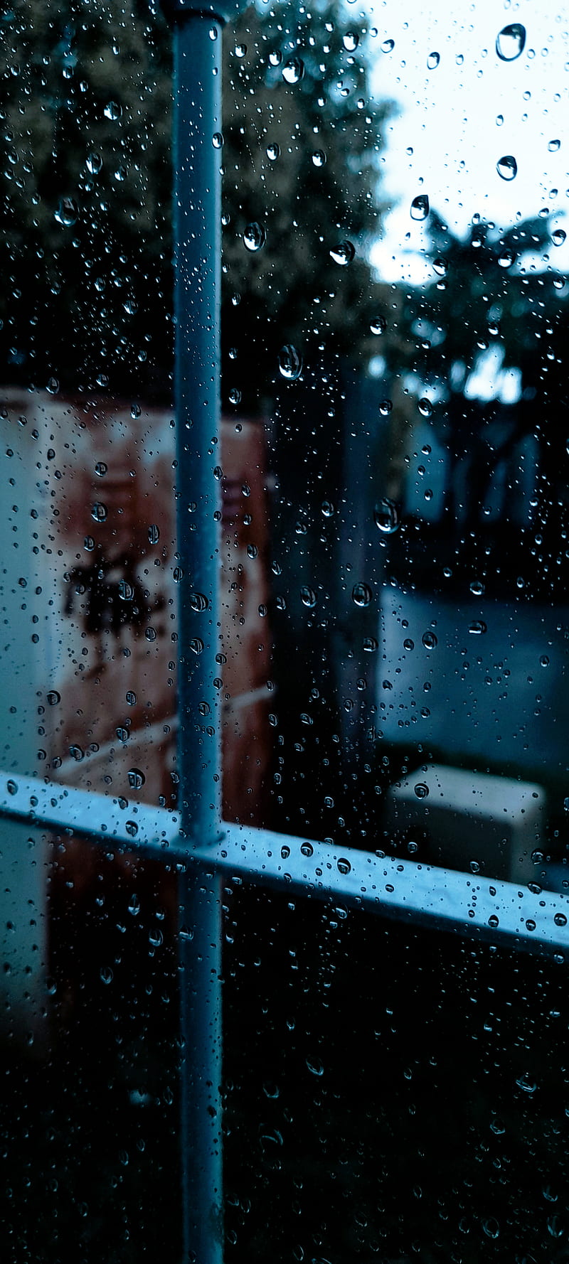 Clima lluvioso, clase, lluvia, Fondo de pantalla de teléfono HD | Peakpx