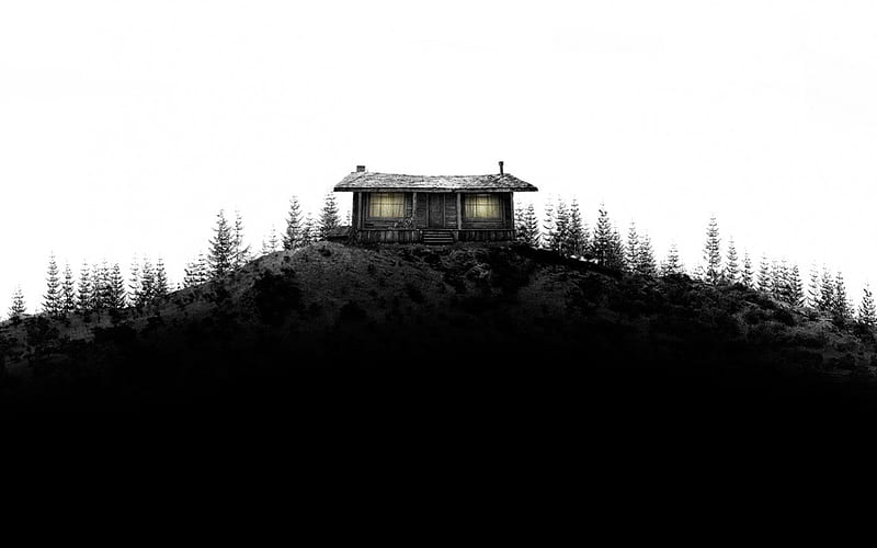 Cabin in the wood, cabin, house, deep, wood, HD wallpaper