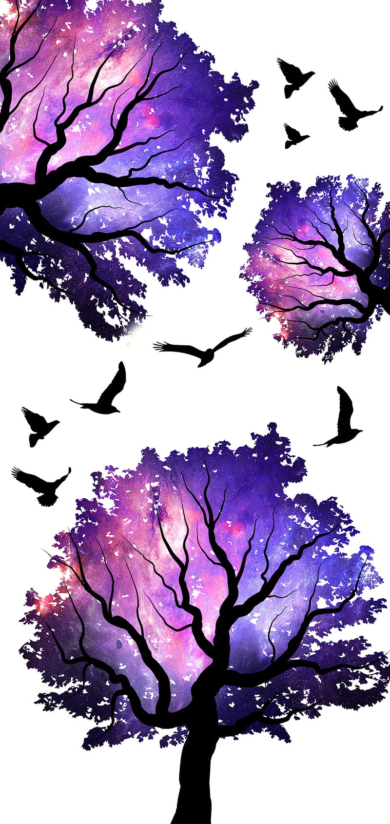 Galaxy, tree, aves, birds, galaxy, melesao, s10 plus, samsung, samsung s10 plus, tree, HD phone wallpaper