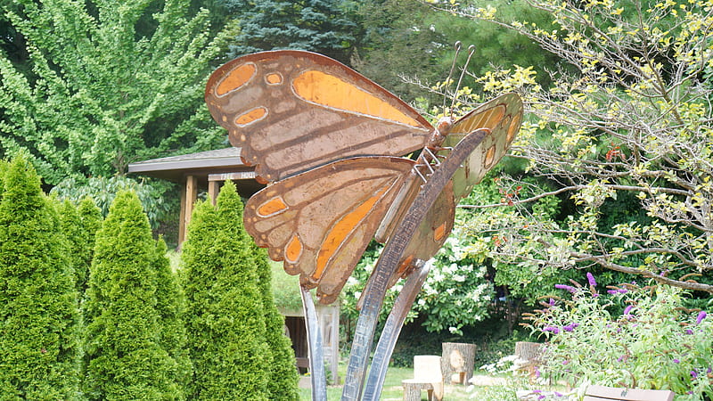 Metal Butterfly, butterfly statue, butterfly, butterfly fixture, HD wallpaper
