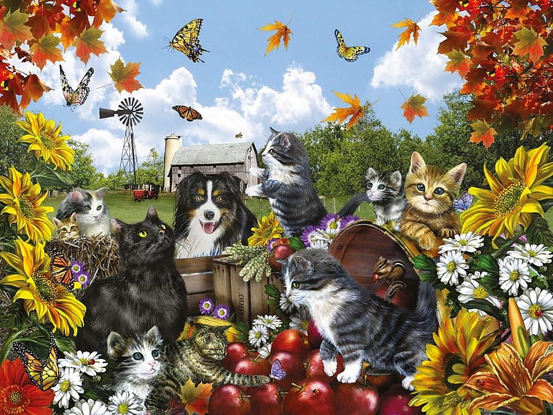 orange, yellow, caine, sunflower, cat, leaf, animal, pisic, pumpkin, painting, garden, pisici, dog, red, autumn, fruit, apple, art, sea, HD wallpaper