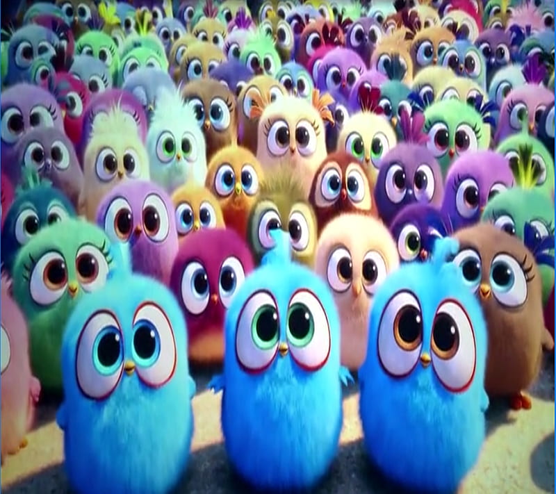 Angry Birds, babys, cute, eyes, HD wallpaper