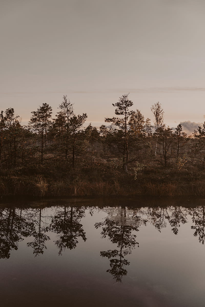 river, shore, trees, reflection, landscape, HD phone wallpaper