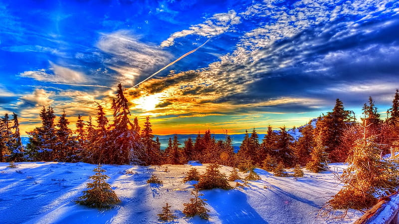 Winter Sunset, clouds, sky, snow, sun, colors, trees, HD wallpaper