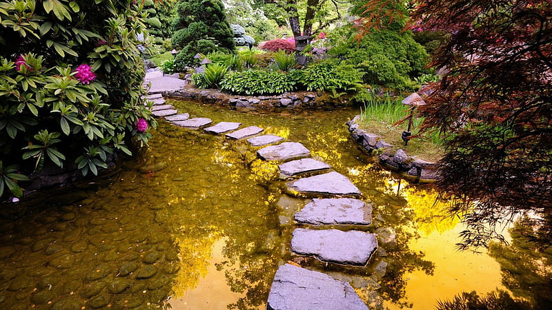 Stone Path Between Lake Garden With Reflection Nature, HD wallpaper