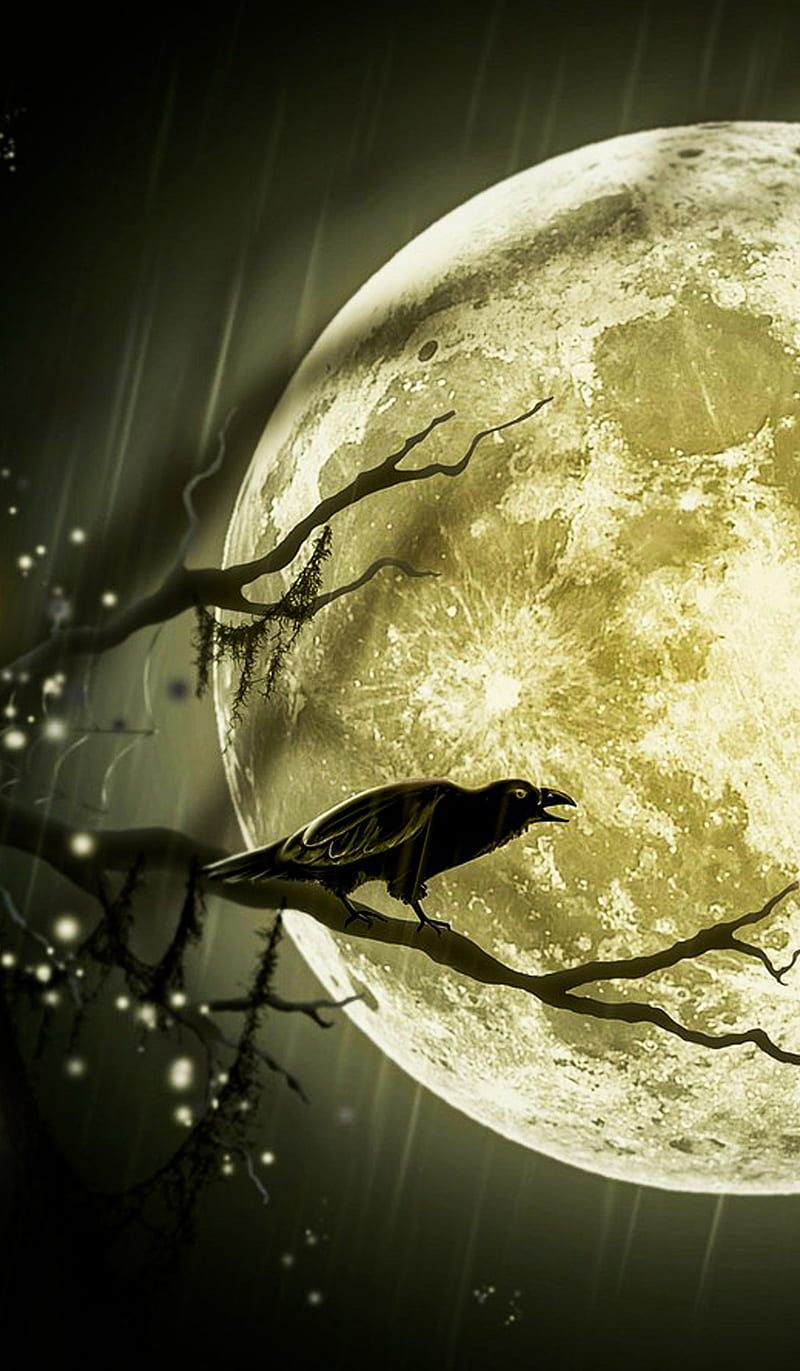 moon, HI, bird, crow, halloween, light, night, planet, rain, tree, water, HD phone wallpaper