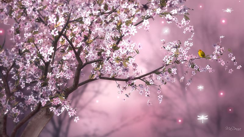 Bird, Branch, Spring, Artistic, Blossom, Pink Flower, Cherry Tree, HD wallpaper