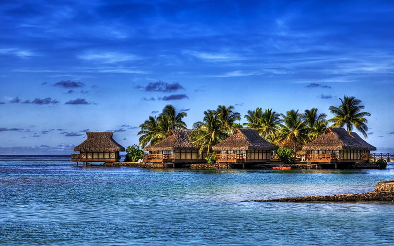 Wallpaper Maldives 5k 4k wallpaper 8k Indian Ocean Best Beaches in the  World palms shore sky OS 5312