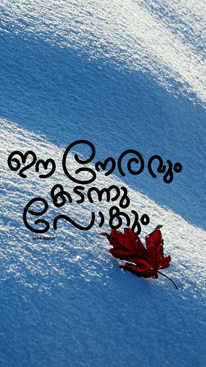 Malayalamtypography, malayalam, quote, typography, malluquote, kerala,  india, HD phone wallpaper | Peakpx