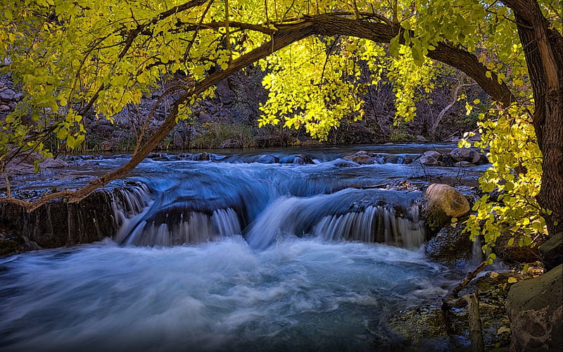 Fossil Creek in Arizona, Creeks, Waterfalls, Rocks, Nature, HD wallpaper