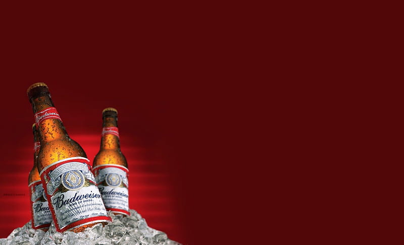 Budweiser Beer, alcohol, budweiser, ice, drink, beer, bottles, HD wallpaper