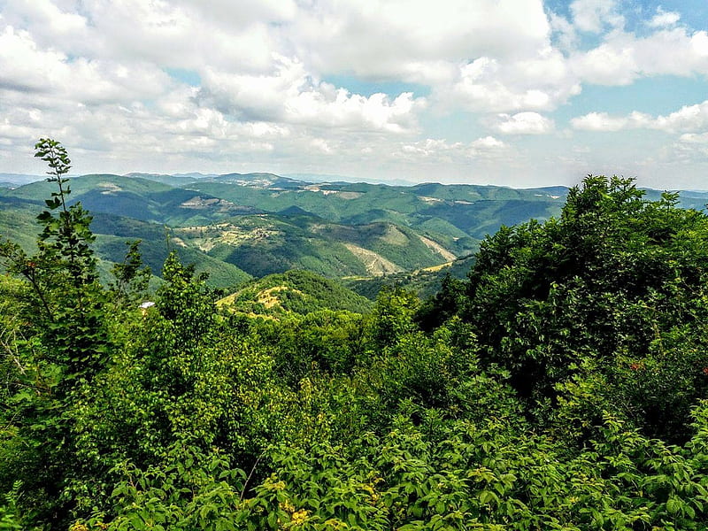 beautiful hills of marevc, Kosovo, Trees, Green, Hills, HD wallpaper