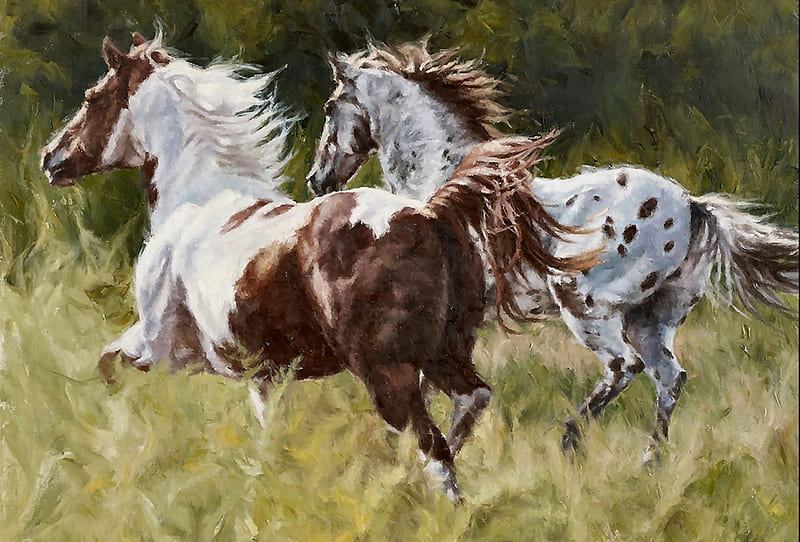 Follow You Anywhere, art, equine, bonito, horse, Pinto, artwork, animal, Appaloosa, Paint, painting, wide screen, HD wallpaper