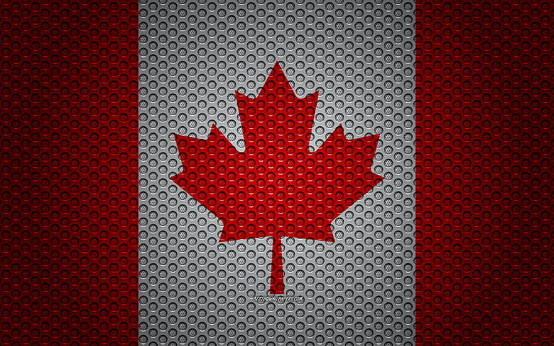 Flag of Canada creative art, metal mesh texture, Canadian flag, national symbol, metal flag, Canada, North America, flags of North America countries, HD wallpaper