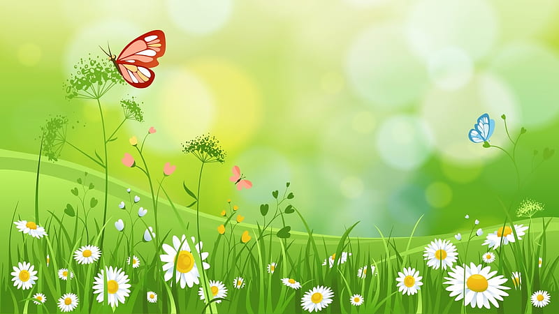 Spring Field, Flowers, Green, Butterfly, Grass, HD wallpaper