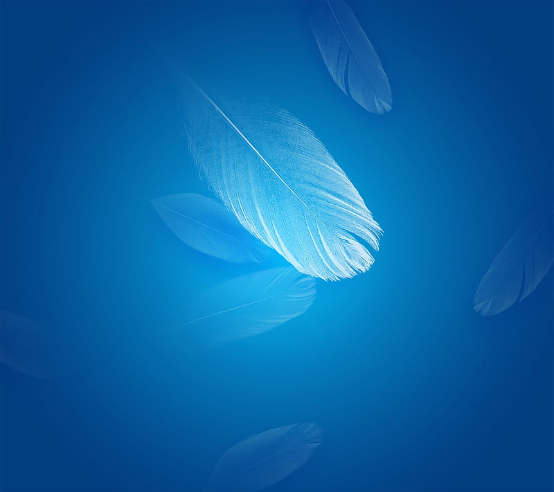 Xiaomi Redmi, blue, default, feather, miui, original, stoche, HD wallpaper