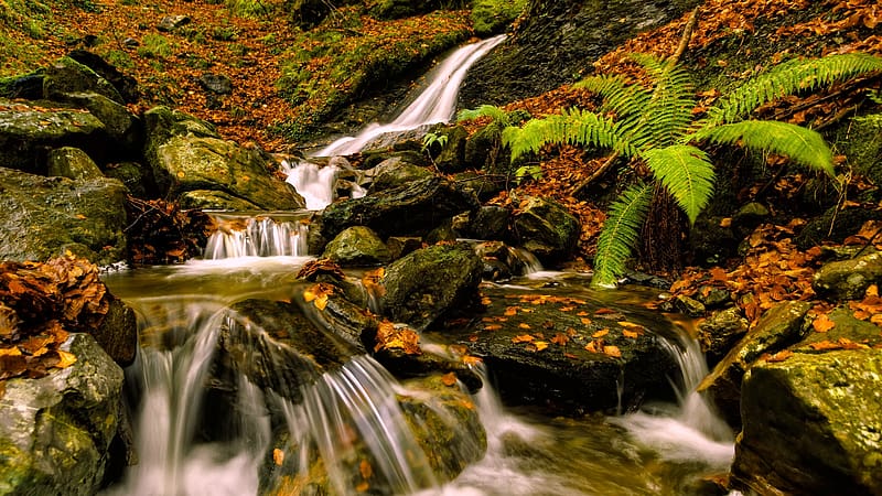 Spanish Waterfall, Basque Country, cascades, rocks, river, water, plants, stones, HD wallpaper