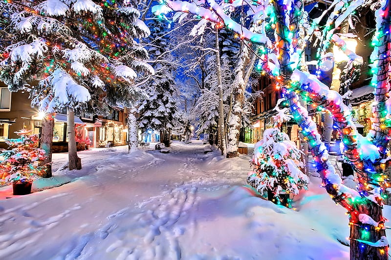 Christmas Lights, Christmas, Snow, Light, Winter, HD wallpaper | Peakpx