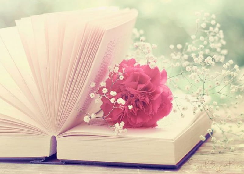 The Unwritten Story, book, flowers, moments, romantic story, HD wallpaper |  Peakpx