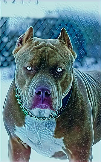 Pitbull Dog Wallpaper  Pitbull Puppy Backgrounds for Android  Download   Cafe Bazaar