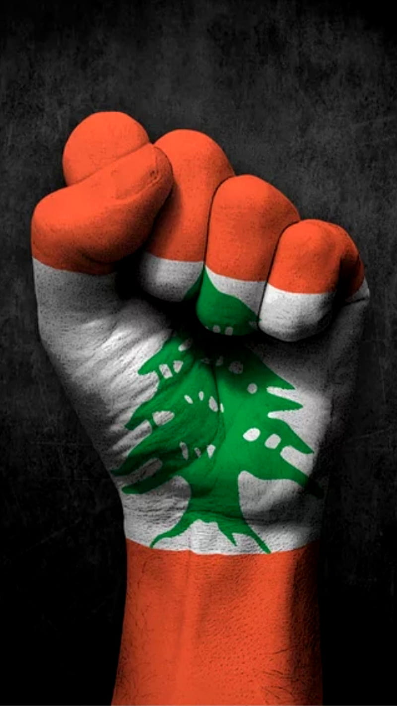 One LEBANON, cedar, cedar tree, flag, hand, lebanese, lebanese flag, revolution, tree, HD phone wallpaper