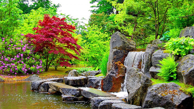 Colorful Garden Park During Spring Garden, HD wallpaper