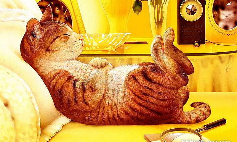 cats-bed-art-makoto-yellow-resting-digital-kitten-sleep-sweet-cat-pillow-feline-animal himalayan, Bed, Sleep, Cats, Deutschland, HD wallpaper