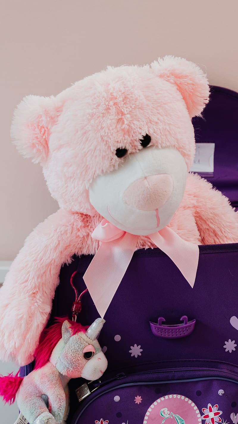 Big Teddy Bear In Purple Bag, big teddy bear, purple bag, bow, stuff toy, pink, HD phone wallpaper