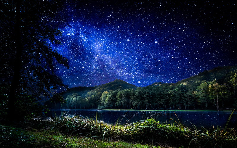 Magical night, stars, magic, bonito, trees, dream, sky, blue, night, HD  wallpaper | Peakpx