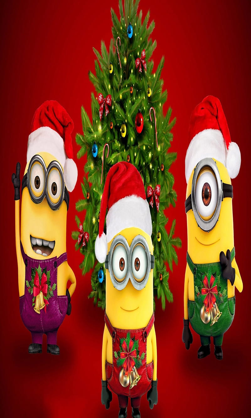 Christmas minions, bonito, cute, look, nice, HD phone wallpaper | Peakpx