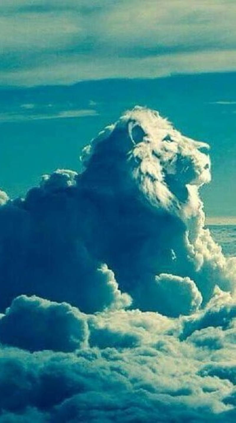 cloud like lion, cluod, lion head, HD phone wallpaper