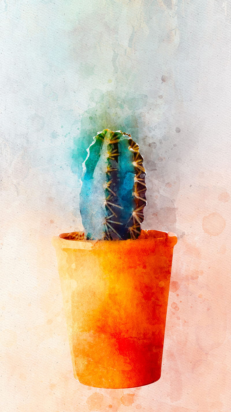 Cactus watercolor, 
