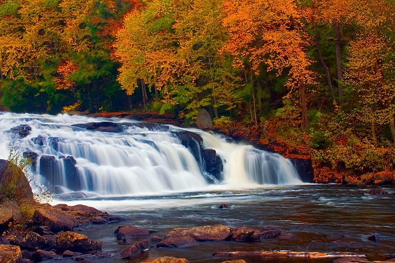 Buttermilk Fall, Adirondack Mountains, NY, autumn, cascades, leaves, water, river, trees, HD wallpaper