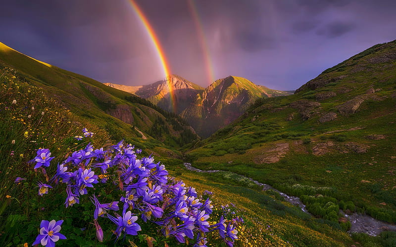 After the rain, hills, mountain, wildflowers, rain, rainbow, sunset, sky, HD wallpaper