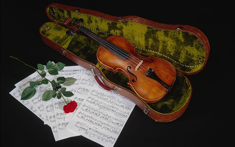 Just Music, with love, red, pretty, rose, bonito, red rose, graphy, flowers, beauty, musical notes, violin, lovely, romantic, romance, music, roses, nature, HD wallpaper