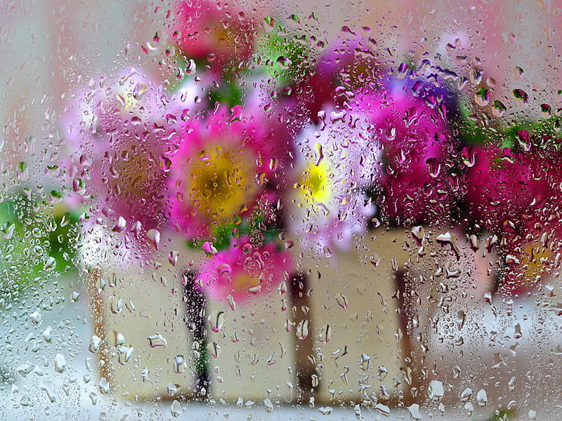 Fresh Flowers Behind Wet Glass Panel  Free Stock Photo