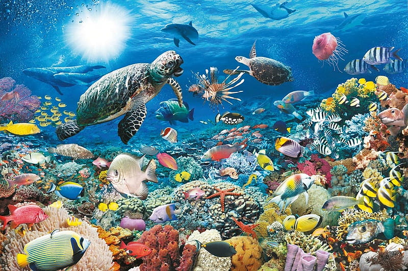 Sea Life, turtles, coral, dolphins, fish, HD wallpaper