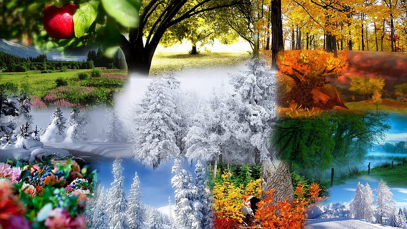 Autumn Collage, apple, forest, fall, autumn, firefox persona, spring ...