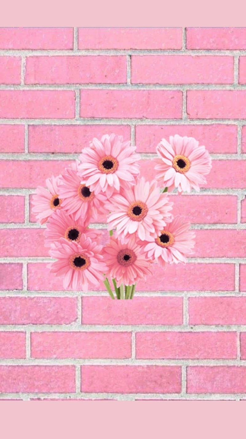 Flower power, flowers, pink, HD phone wallpaper