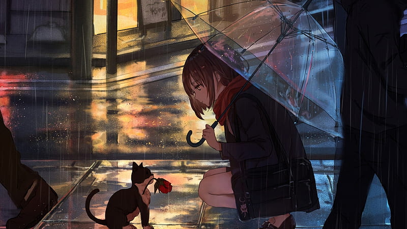 Anime Girl Raining Reflection 4K Wallpaper iPhone HD Phone #3560h